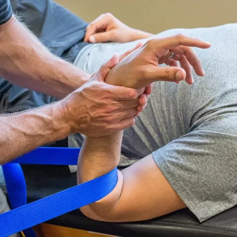 Elbow-Wrist-Hand-2-480x480